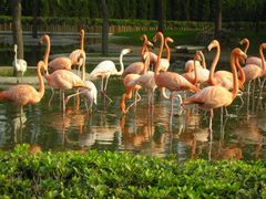 -石家庄市动物园