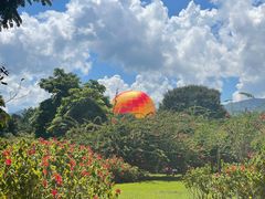 -中国科学院西双版纳热带植物园