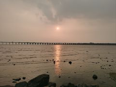 -宝安西湾红树林湿地公园