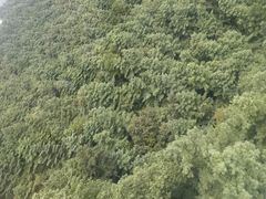 -苍山感通索道