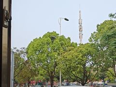 -金塔傣乡·云南民族特色菜·傣味手抓饭(金瓦路店)