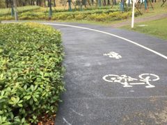 -南汇新城城市公园