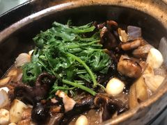嘟嘟八爪鱼-和记小菜(大宁店)
