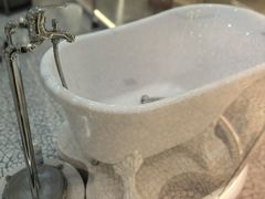 -momokira米努特·德文卷毛猫·棉花面纱犬