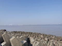-上海滨江森林公园