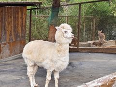 -佛冈森波拉度假区