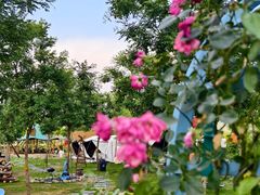 -Walker萌宠露营(大明骑士驿站店)