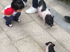 -龙城咖啡厅(常州富都洲际店)
