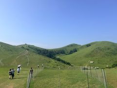 -大姆山草场