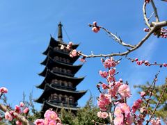 -上海方塔园