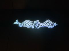 -白鹤梁水下博物馆