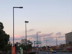 -嘉定凯悦·咖啡厅