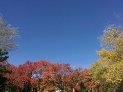 -乌素图国家森林公园