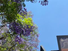 -老昆明网红小吃城(景星恒隆百货店)