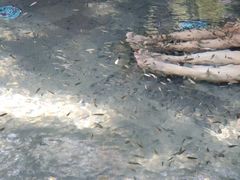 -杭州第一世界大酒店·云曼温泉