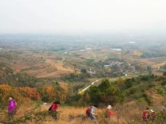 -秦岭风景区