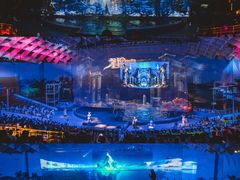 -海合安武汉极地海洋公园