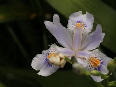 -望江楼公园