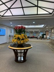 -北京明德医院·医疗美容
