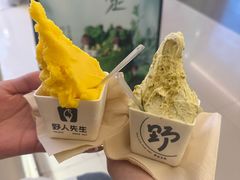 -野人先生现做冰淇淋(北京王府井东方新天地店)