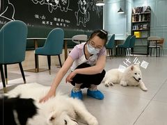 -安格丽娜·狗咖·猫咖羊驼咖(春熙路百盛商场店)