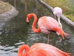 -灵玲国际马戏城