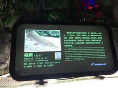 -泉城欧乐堡海洋极地世界