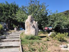 -北京西山国家森林公园