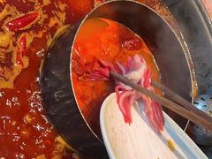 -巴蜀大将火锅(春熙店)