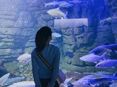 -江和美海洋公园