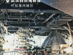 -武汉园博园(武汉自然博物馆)