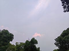 -蠡湖大桥公园