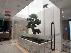 -柏乐口腔医院·舒适化无痛种植牙中心(东盟商务区院)