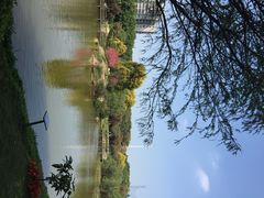 悦华酒店-厦门悦华酒店