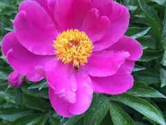 -大东方海鲜酒楼(小武基桥店)