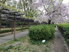 -名古屋城