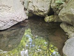 -云岫谷游猎自然风景区
