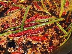麻辣红锅-青年火锅(吾悦广场直营店)