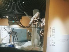 -国家自然博物馆