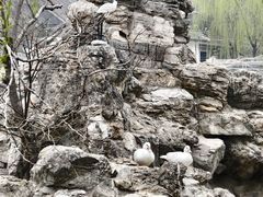 -团结湖公园