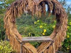 -广州白江湖森林公园