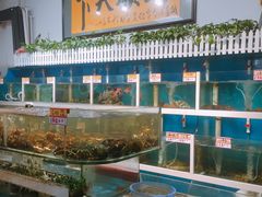 水产区-鑫悦楼煎蟹·16年海鲜大排档