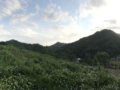-牛背梁国家森林公园