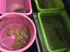 -班赞海鲜市场