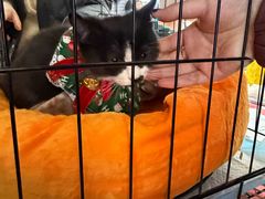 -北京华联购物中心(天通苑店)