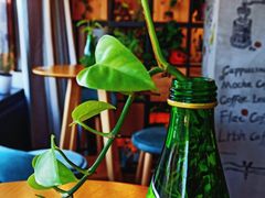 -ZING COFFEE 镜咖啡