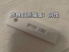 -成都民大动物医院