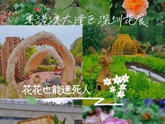 -深圳市中科院仙湖植物园