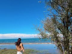 -青海湖国家重点风景名胜区