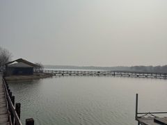 -西青郊野公园